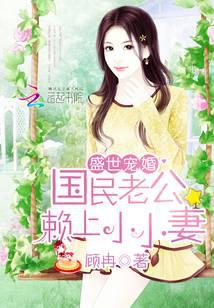 盛世宠婚：国民老公赖上小小妻