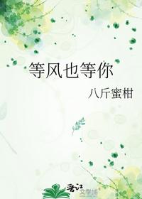 等风也等你